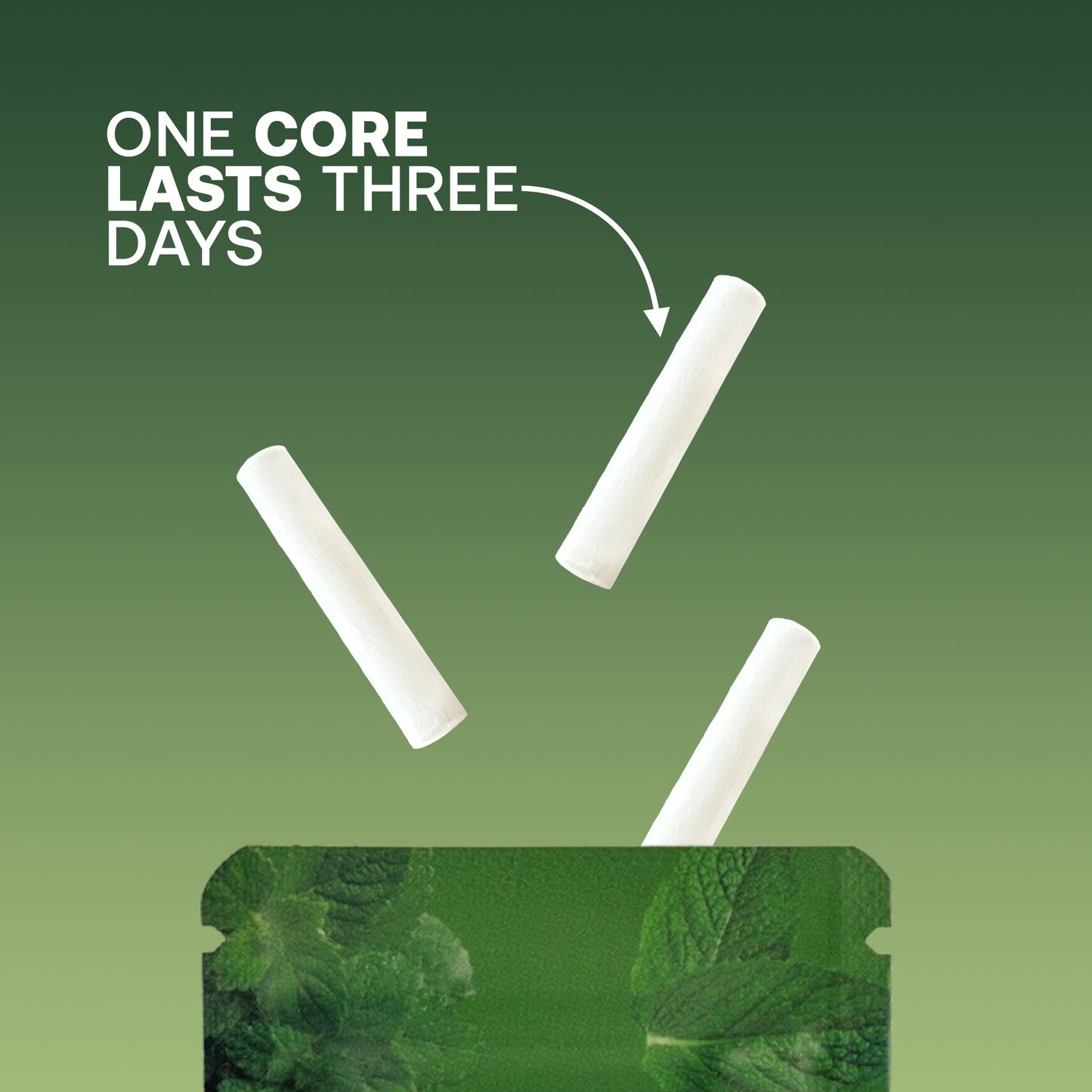 STARTER KIT GOLDEN MAPLE