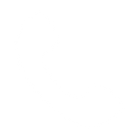 Phone Icon